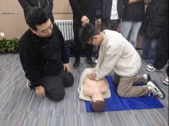  培训内容适